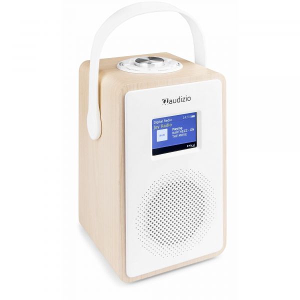 Onderzoek Volgen spanning Audizio Modena draagbare radio met DAB, Bluetooth en accu - Wit kopen?