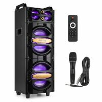 Fenton LIVE2102 party speaker met Bluetooth, mp3 speler, microfoon en multicolor LED's - 800W