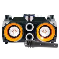 Fenton MDJ100 Karaoke set op accu met echo en Bluetooth